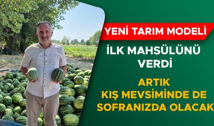 YERLİ VE MİLLİ KÜÇÜK BOY KAVUN VE KARPUZLAR GÖRENLERİ ŞAŞIRTIYOR