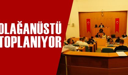 KONU: HAVA KİRLİLİĞİ VE TEMİZ DÜZCE