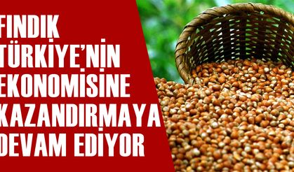 DÜZCE TİCARET BORSASINDA BİNLERCE TON FINDIK İŞLEM GÖRDÜ