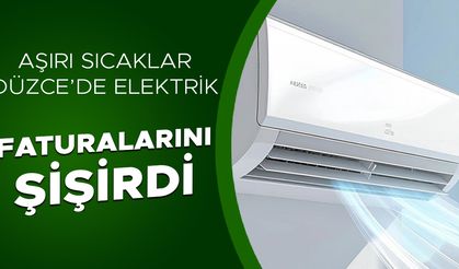 ELEKTRİK TÜKETİMİ TÜM ZAMANLARIN EN YÜKSEK SEVİYESİNE ÇIKTI