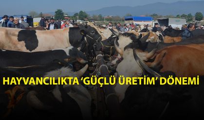 UMUT VEREN PROJENİN DETAYLARI BELLİ OLDU