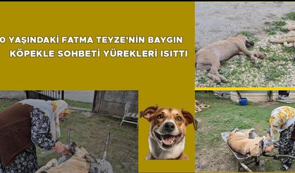 “ARKA BAHÇEMİZDEN GİRİP ALDILAR”