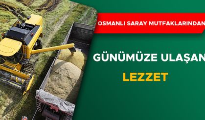 SAĞLANAN DESTEKLERLE KONURALP PİRİNCİNDE ÜRETİM ARTTIRILDI