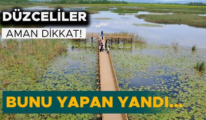 HAPİS CEZASI VE YÜKSEK MİKTARDA PARA CEZASI UYGULANACAK