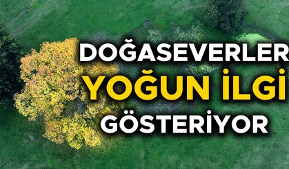 "SONBAHARIN TONLARI" MEST EDİYOR