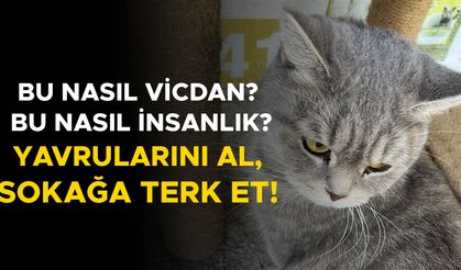 GÖLYAKA’DA YÜREKLERİ SIZLATAN OLAY