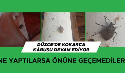 ŞİMDİ DE EVLERİ İSTİLA ETTİLER…