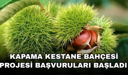 BAKANLIK YÜZDE 75 DESTEK VERİYOR