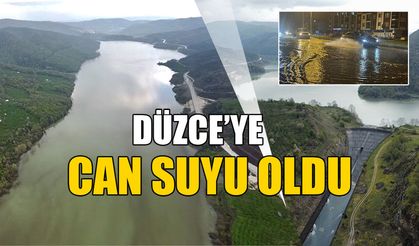 SON 12 YILIN EN YÜKSEK SEVİYESİNE ÇIKTI