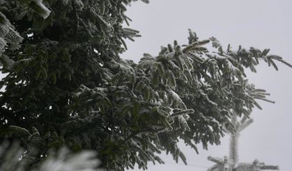 DÜZCE’NİN YAYLALARI KIŞA MERHABA DEDİ