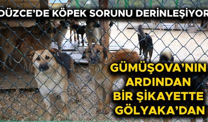 “4 BİN TL VERMEZSEN KÖPEĞİM ELLERİNDE REHİN”