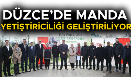 ÜRETİCİLERE 17 ADET MANDA BOĞASI DAĞITILDI