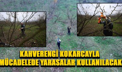 UZMAN KULAÇ: “KOKARCAYA KARŞI MÜCADELE YÜRÜTMEYE ÇALIŞACAĞIZ”