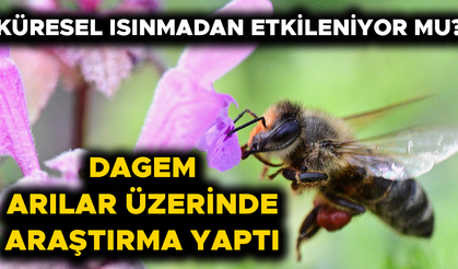 LABORATUVAR ÇALIŞMALARININ SONUÇLARI AÇIKLANDI