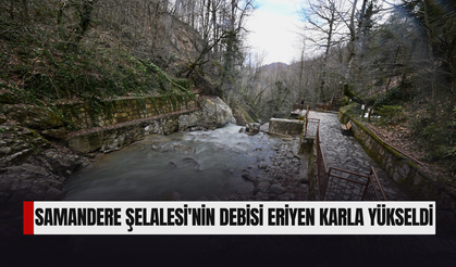 YÜKSELEN SU SEVİYESİYLE ŞELALE ZİYARETÇİLERİN İLGİSİNİ ÇEKİYOR