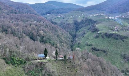 DÜZCE'NİN YAYLALARINDA İKİ MEVSİM BİR ARADA YAŞANIYOR