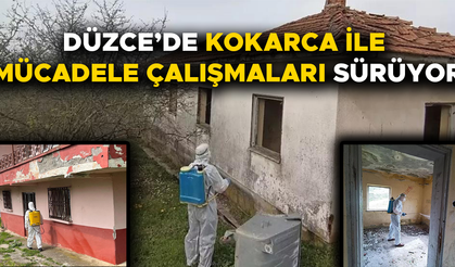 KIŞLAK ALANLARDA İLAÇLAMA ÇALIŞMASI YAPILDI
