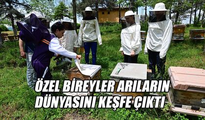 DÜNYA ARI GÜNÜ İÇİN FARKINDALIK ETKİNLİĞİ DÜZENLENDİ