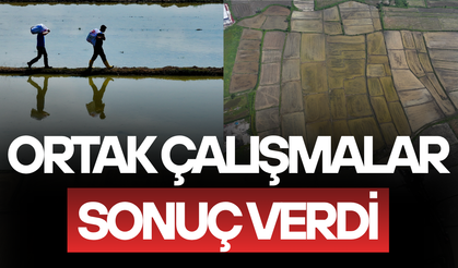 COĞRAFİ İŞARETLİ KONURALP PİRİNCİNİN EKİM ALANI 5 YILDA YÜZDE 86 ARTTI