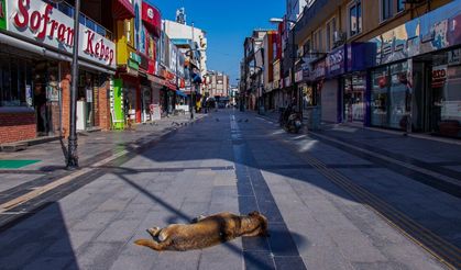 DÜZCE DENİLİNCE AKLINIZA NE GELİYOR?’ SORUSUNA DÜZCELİLER NE DEDİ?