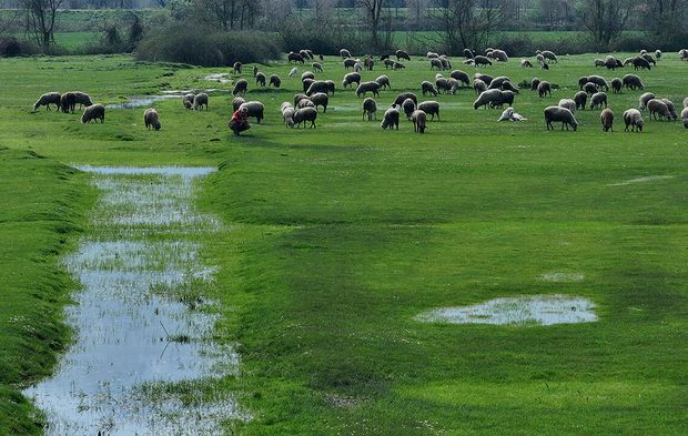 EFTENİ GÖLÜ SÜRDÜRÜLEBİLİR SU YÖNETİMİ PROJELERİYLE KORUMA ALTINDA