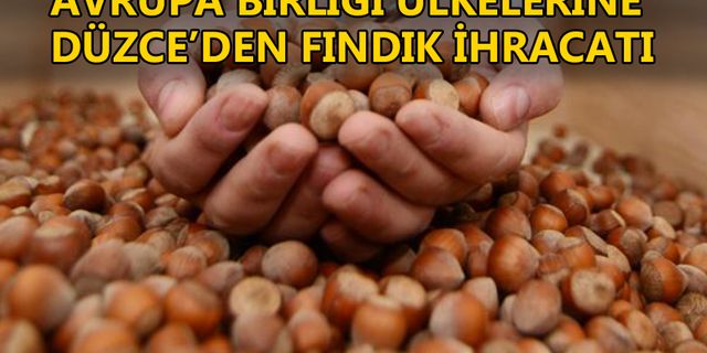 İHRACATIN BÜYÜK BÖLÜMÜ İÇ FINDIKTAN OLUŞUYOR