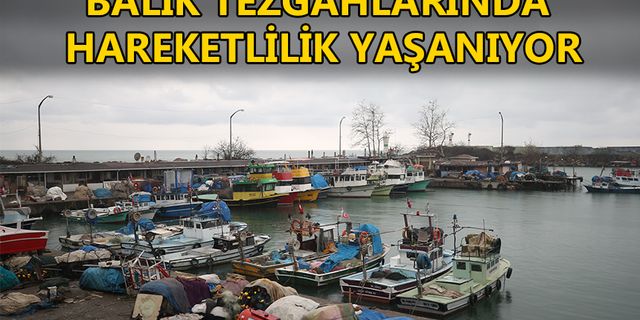 SOĞUK HAVALARIN GELMESİYLE TEKNELER AVA ÇIKTI