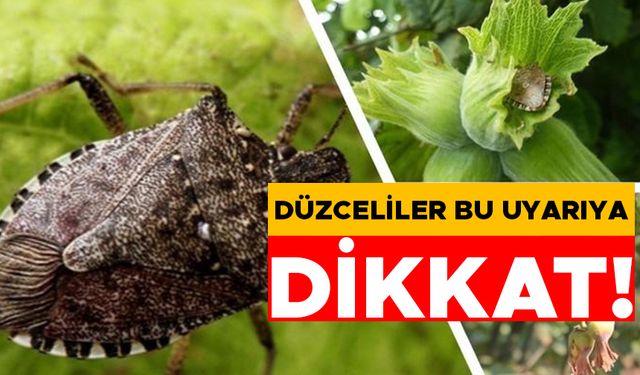 GÖRDÜĞÜNÜZ YERDE İMHA EDİN