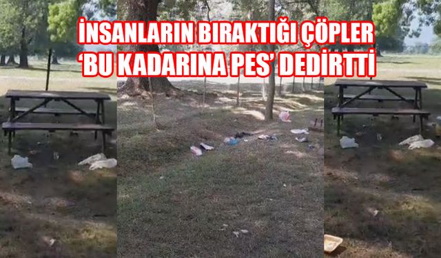 “HAYVANLAR İNSANLARDAN DAHA TEMİZ”