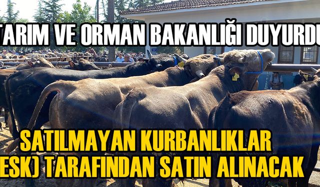 BAŞVURULAR 20 HAZİRAN’DA BAŞLIYOR