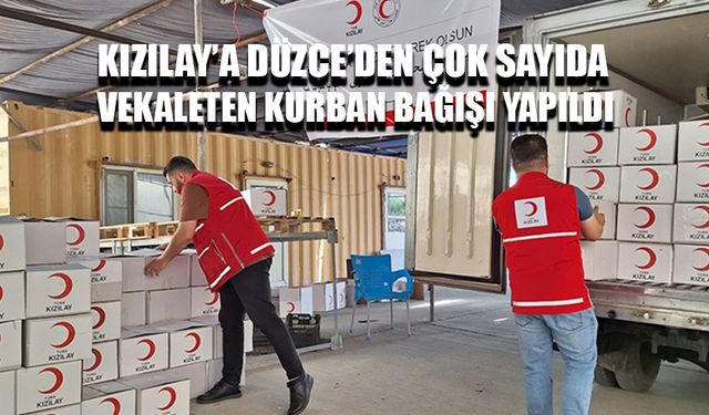 KURBAN ETLERİ MAZLUMLARIN SOFRALARI İLE BULUŞUYOR