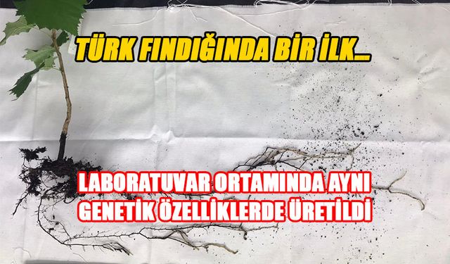 ARTIK TOHUMLARLA ÇOĞALTILABİLECEK