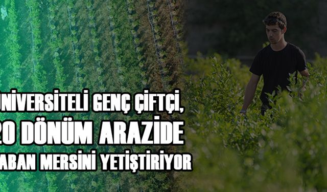 GİRİŞİM HAYALİ OLAN YAŞITLARINA TAVSİYELERDE BULUNDU