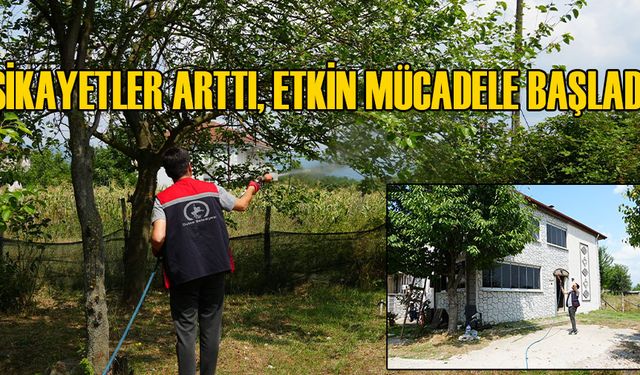 BELEDİYE: ÖZEL EKİP OLUŞTURDUK