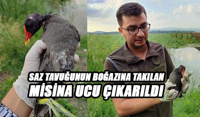 TEDAVİSİNİN ARDINDAN YAVRULARININ YANINA BIRAKILDI