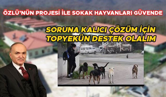 ‘EVLADINIZI KÖPEK ISIRSA YİNE SAVUNACAK MISINIZ?’