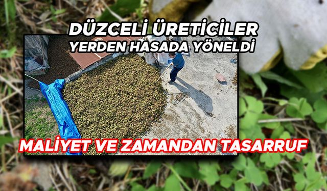 “EN İYİSİ DALI SALLA, DİBİNİ TOPLA”