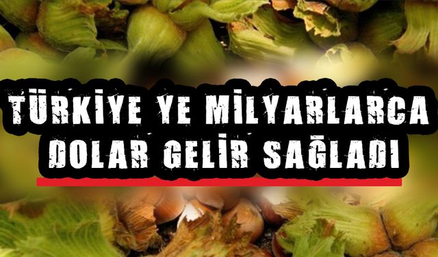 FINDIK YİNE İHRACAT ŞAMPİYONU OLDU