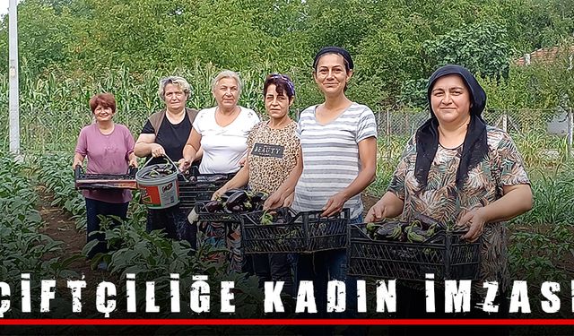 KADINLAR KURDUKLARI KOOPERATİF İLE ÇİFTÇİ OLDU