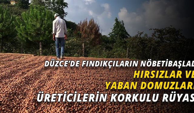 HARMANA İNEN FINDIĞIN BAŞINDA NÖBET TUTUYORLAR