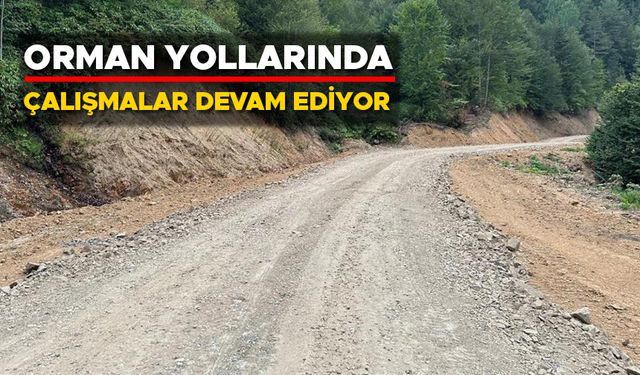 GÖLYAKA’DAKİ 20 KİLOMETRELİK YOL TAMAMLANDI