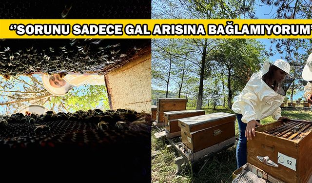 ‘’KURAKLIĞA BAĞLI OLDUĞUNU DÜŞÜNÜYORUZ’’