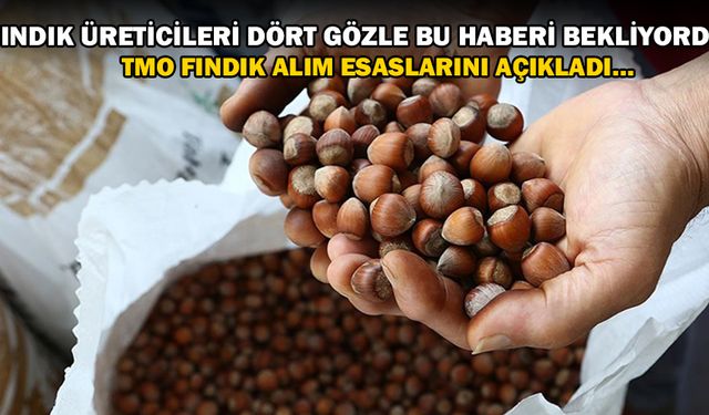 FINDIK ALIMLARI O TARİHTE BAŞLAYACAK…