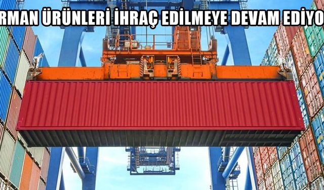 DÜZCE’DE İLK 7 AYDA 7 BİN 658 TON İHRAÇ EDİLDİ