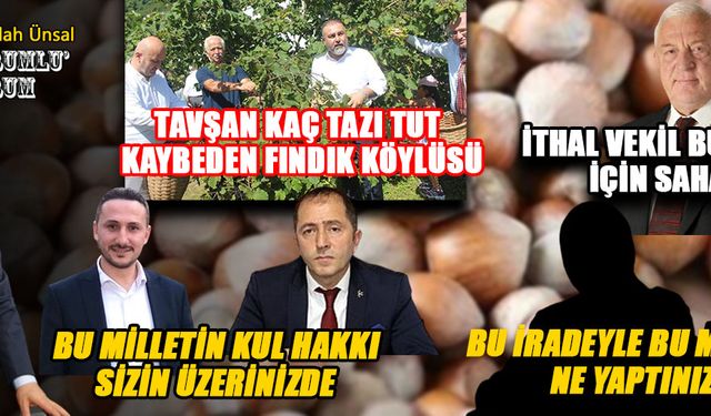 İTHAL VEKİL BURADA YERLİ VEKİLLER NEREDE?