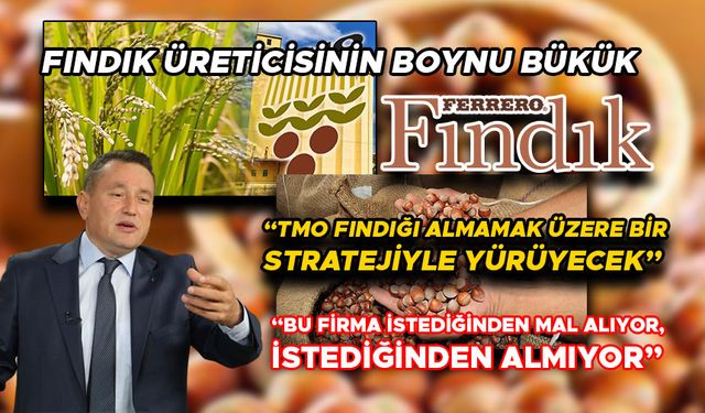 AÇIKLANAN FİYATLAR İLE FINDIK ÜRETİCİSİ DAHA DA DİBE VURDU