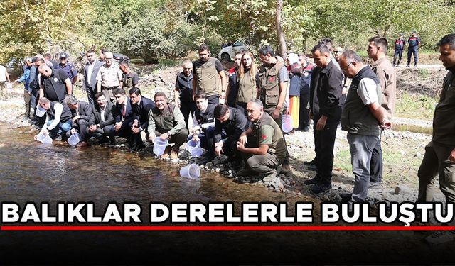 DÜZCE’DE 15 BİN KIRMIZI BENEKLİ ALABALIK DERELERE SALINDI