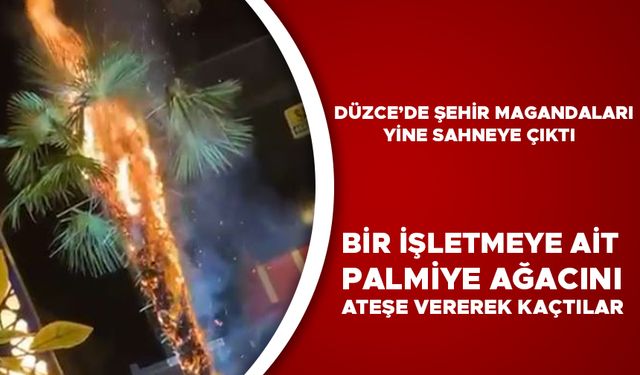 POLİS EKİPLERİ 3 ŞÜPHELİYİ YAKALAMAK İÇİN ÇALIŞMA BAŞLATTI