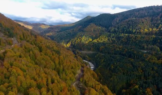 DÜZCE’DE ORMAN YANGINI VE SEL FELAKETLERİNE KARŞI HAREKETE GEÇİLDİ