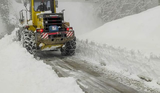 ELEKTRİK HATLARI ONARILMAYA DEVAM EDİYOR